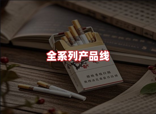 专业团队